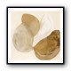 Abstract Minimalist Artwork With Three Large Overlapping Ovals 3