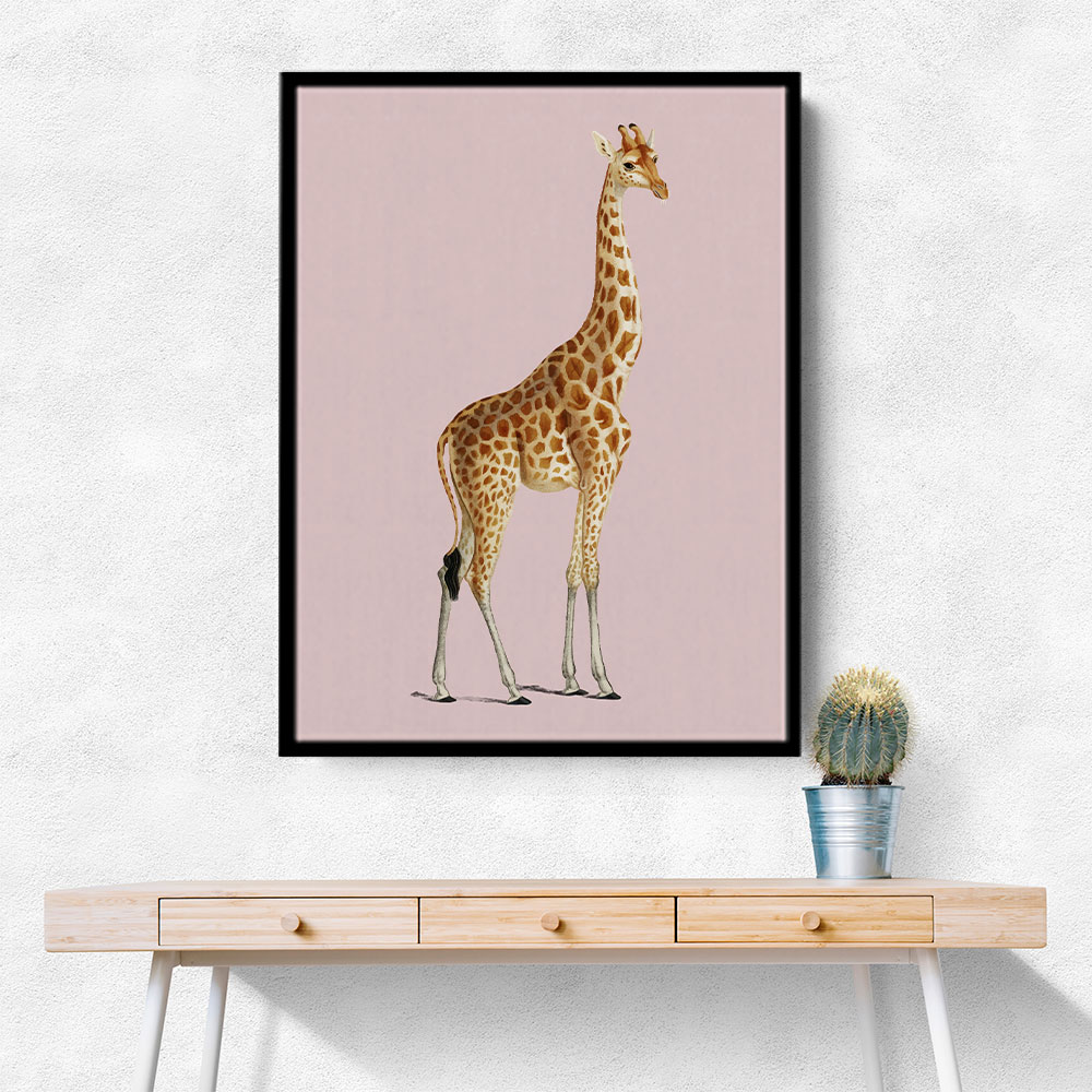 Giraffe Vintage Illustration Pink
