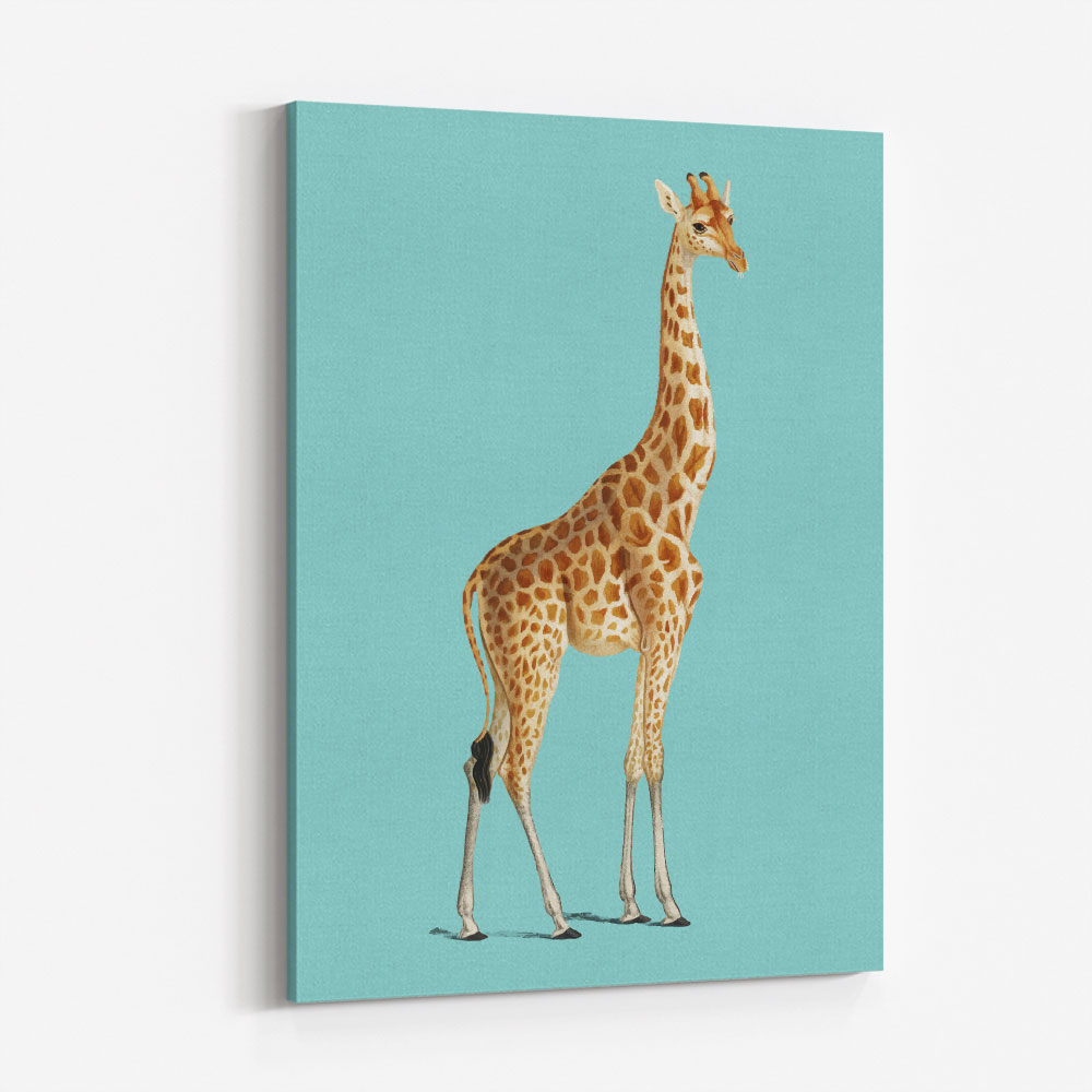 Giraffe Vintage Illustration Blue