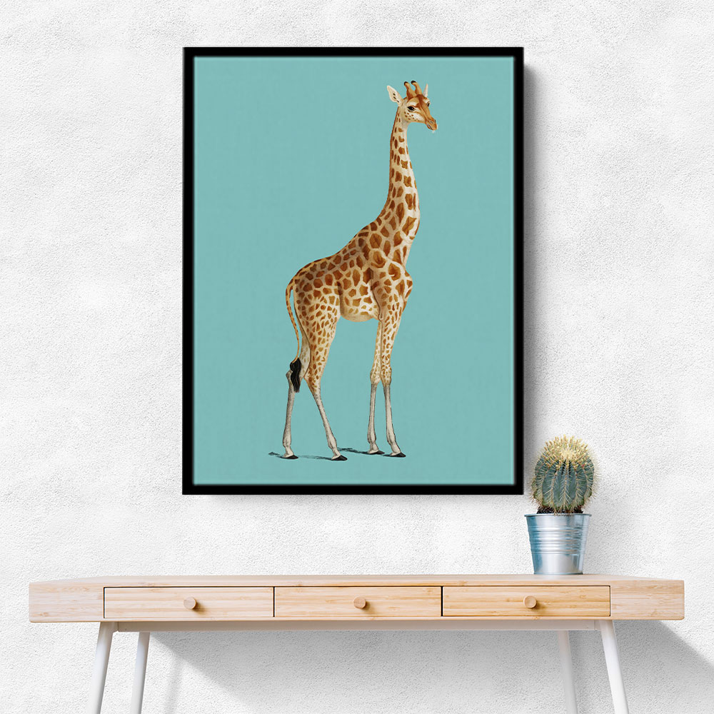 Giraffe Vintage Illustration Blue