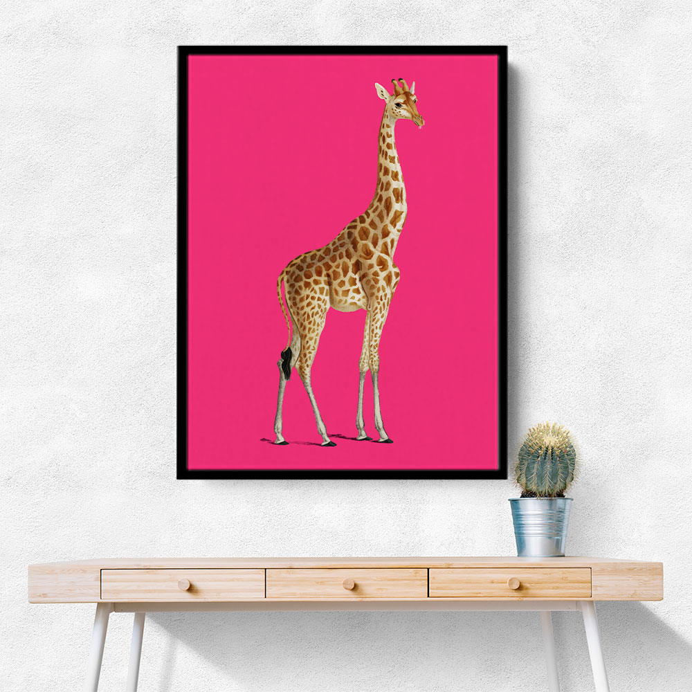 Giraffe Vintage Illustration Bright Pink