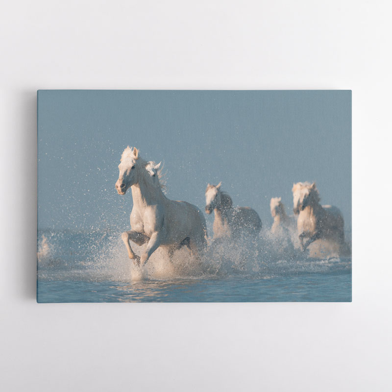 Angels of Camargue