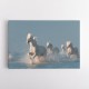 Angels of Camargue
