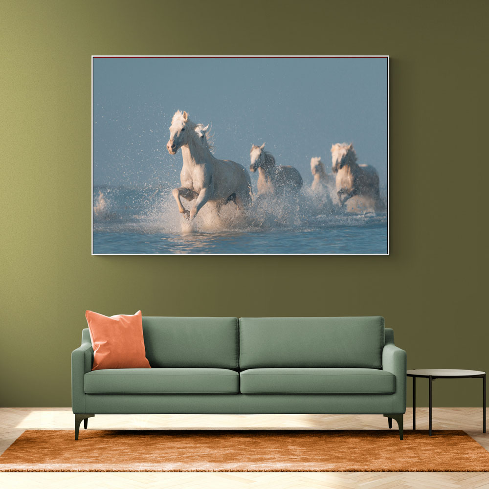 Angels of Camargue