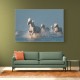 Angels of Camargue