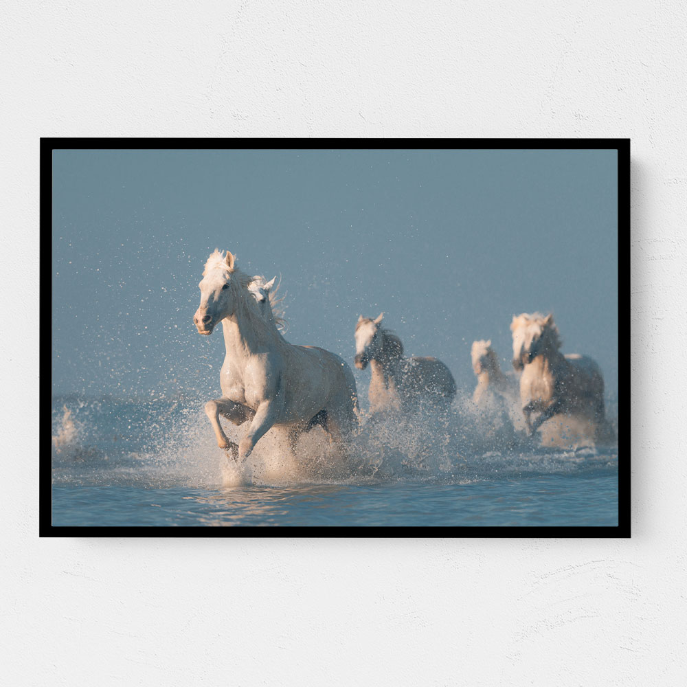 Angels of Camargue