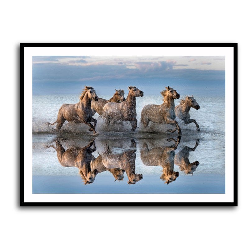 Horses Reflection