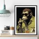 Gorilla Funk 2