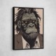 Grumpy Gorilla