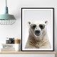 Polar Bear in Shades Wall Art