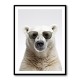 Polar Bear in Shades Wall Art