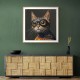Masked Ginger Cat Wall Art