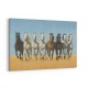 Galloping Arabian Horses