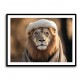 Keffiyeh Lion Wall Art