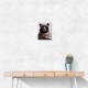 Keffiyeh Black Bear