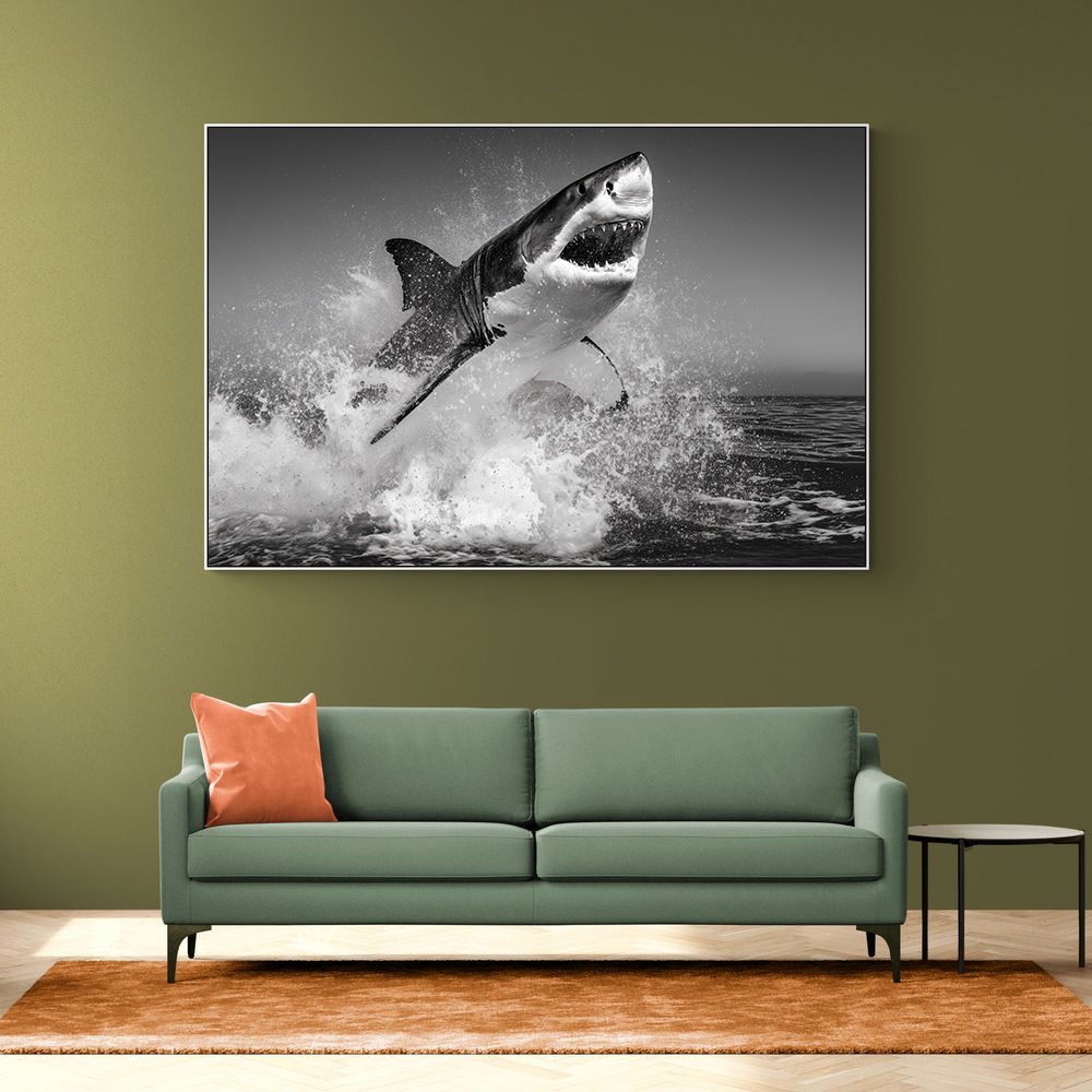 Beware of The Shark
