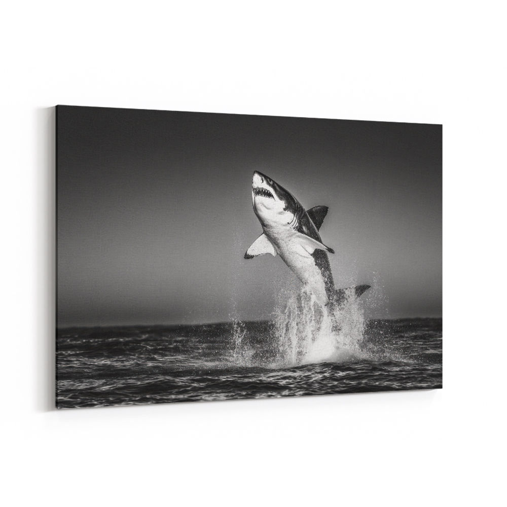 Great White Flight