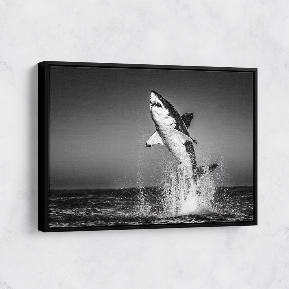 Great White Flight