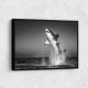 Great White Flight