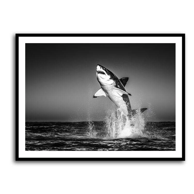 Great White Flight