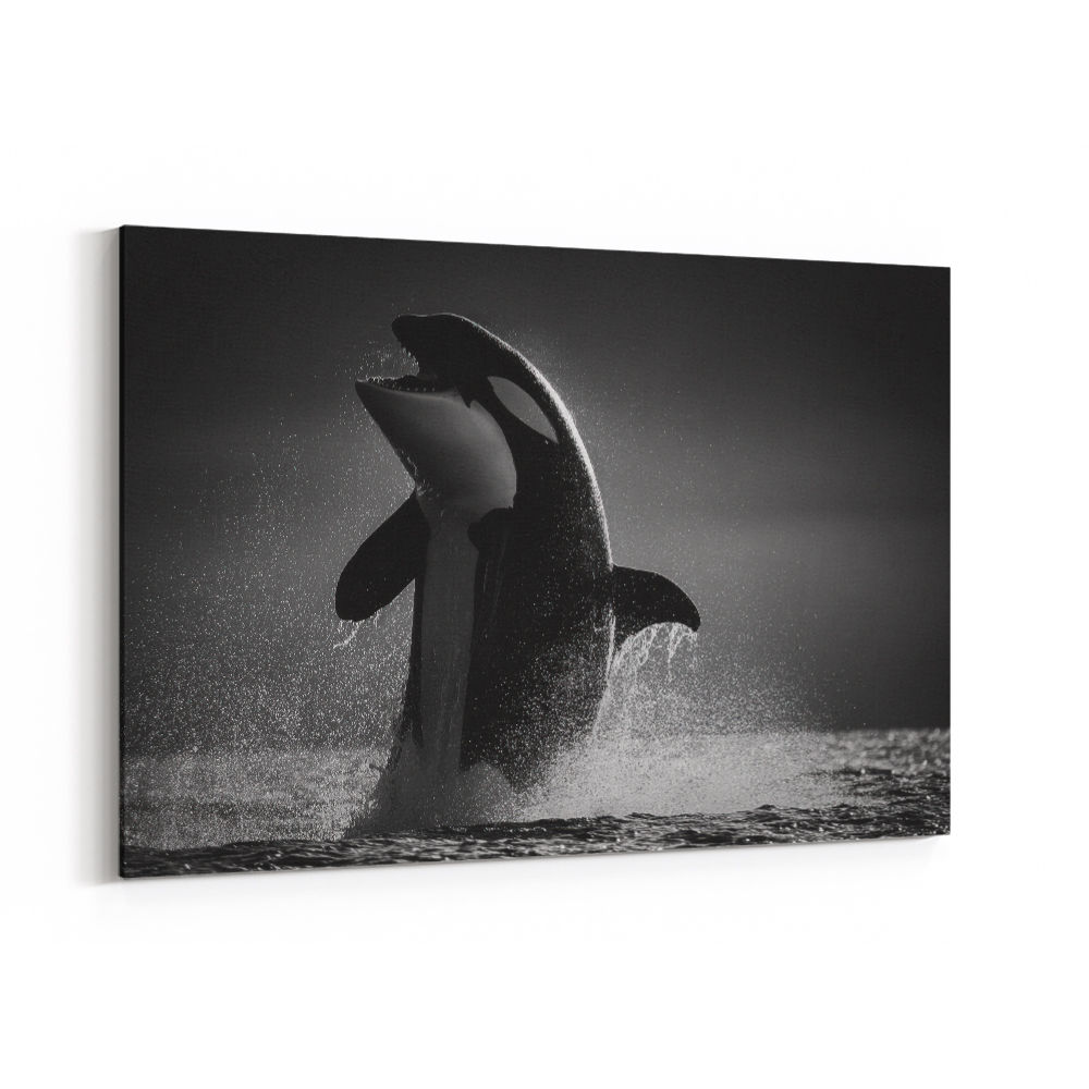 The Orca Dance