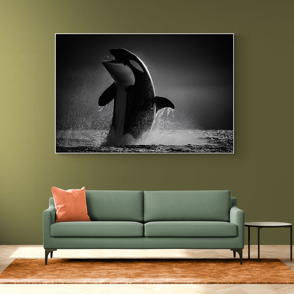 The Orca Dance