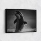 The Orca Dance