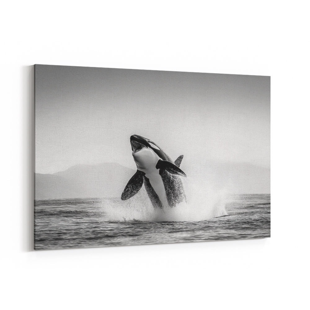 Orca Play