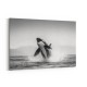 Orca Play