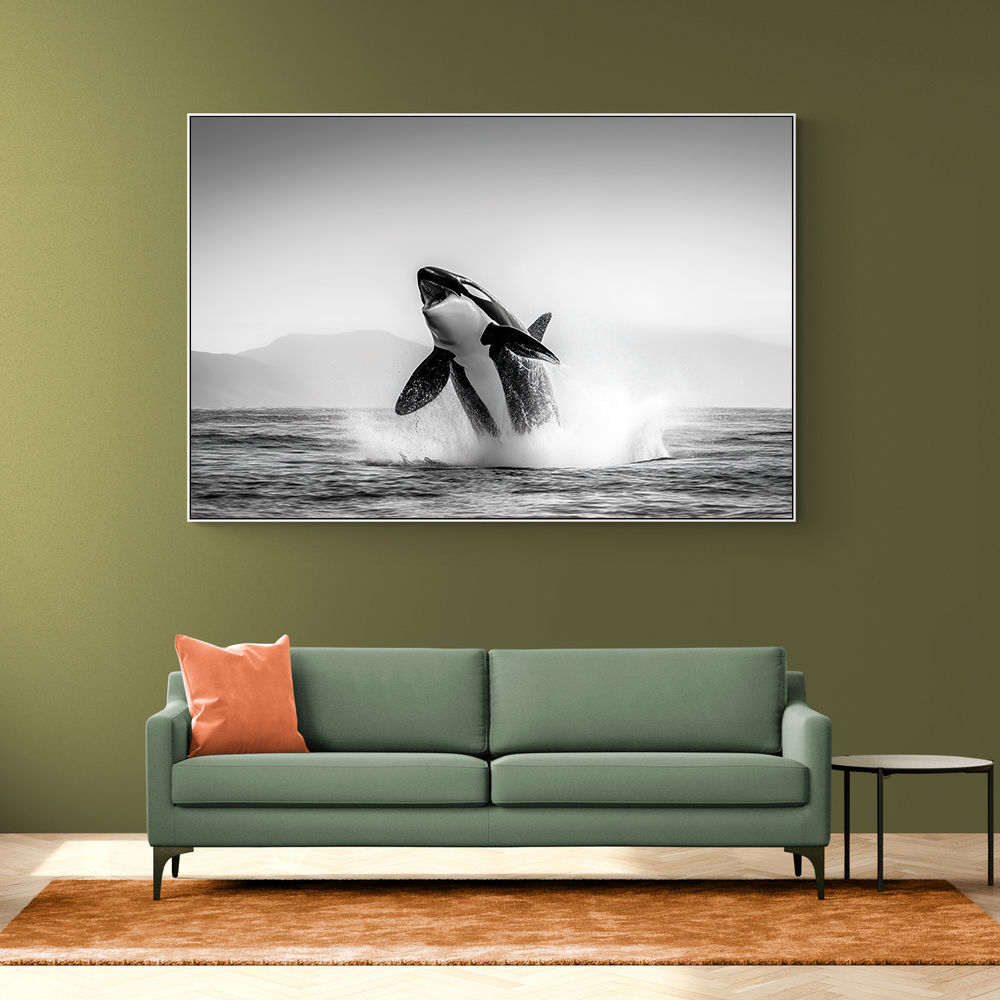 Orca Play