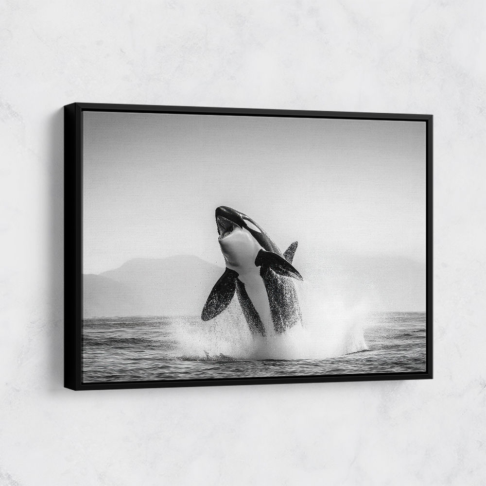 Orca Play