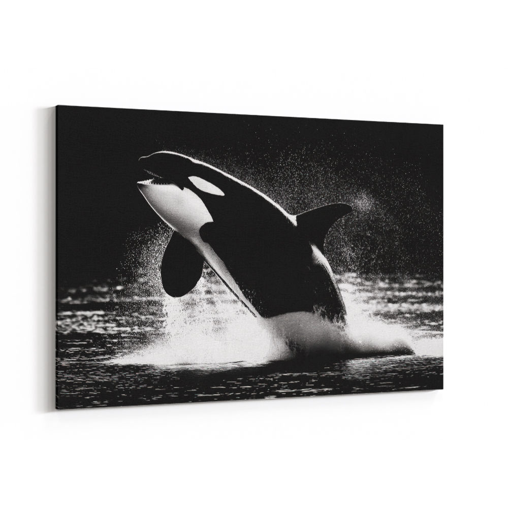 Flying Orca