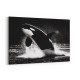Flying Orca