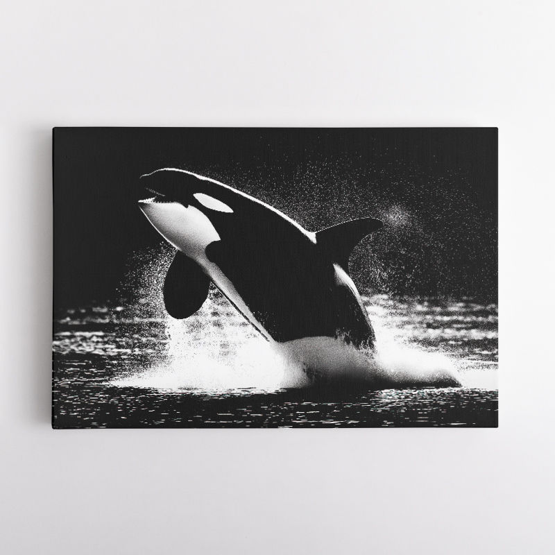 Flying Orca