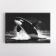 Flying Orca