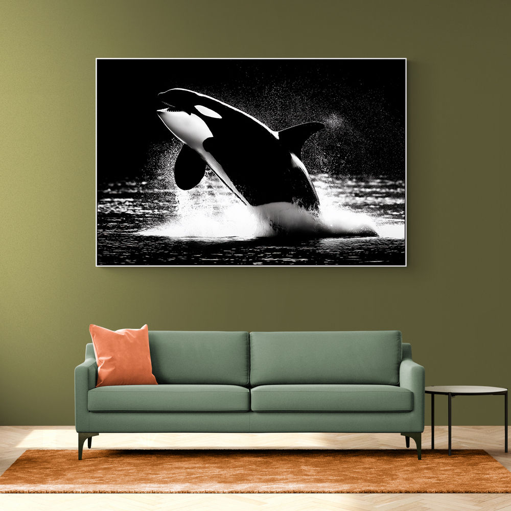 Flying Orca
