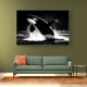 Flying Orca