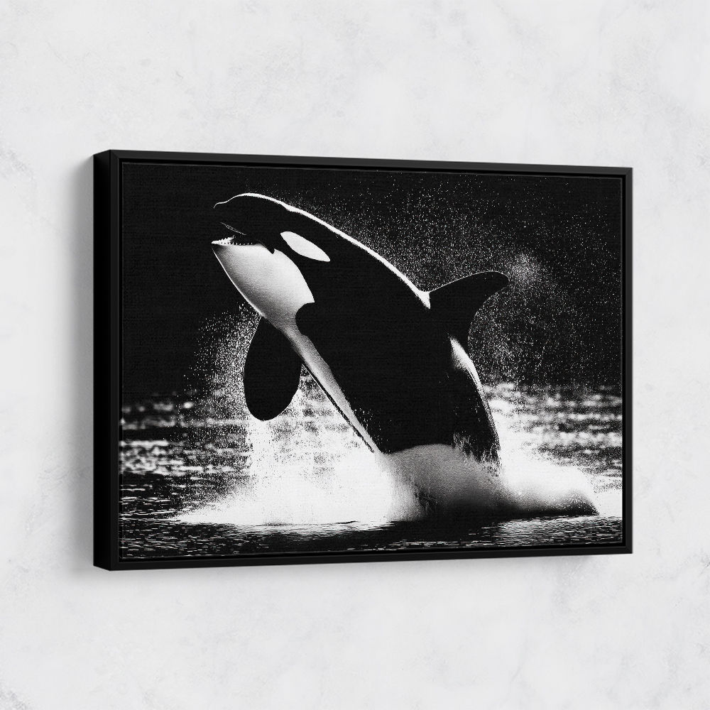 Flying Orca