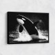 Flying Orca