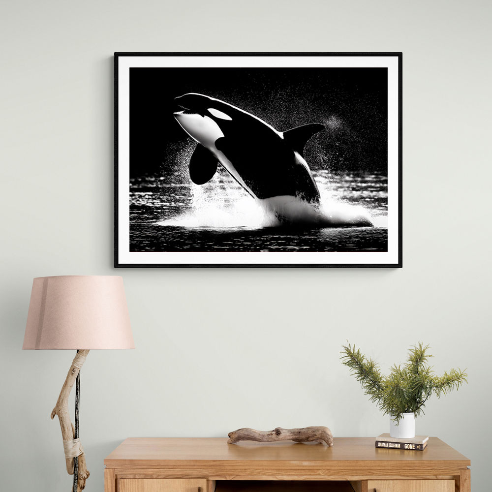 Flying Orca