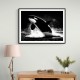 Flying Orca