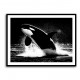 Flying Orca