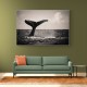 Whale Tail