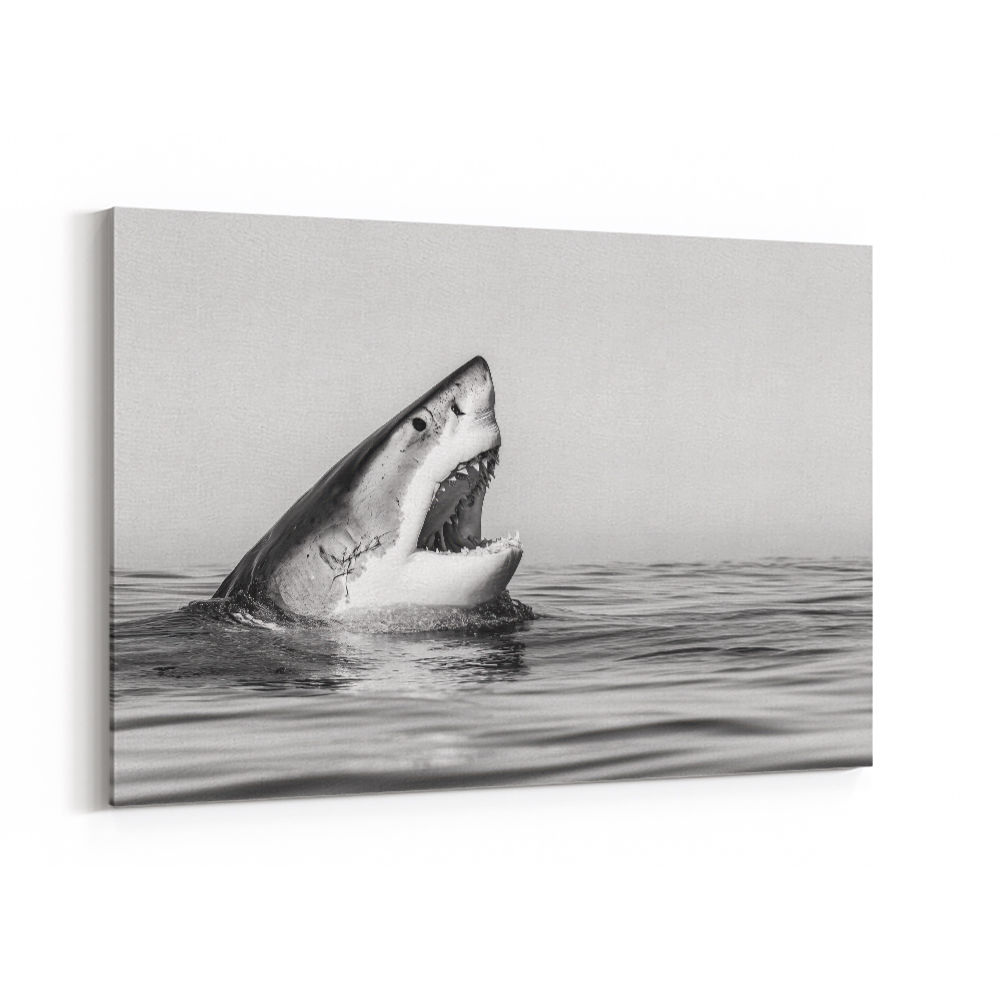 Great White Mouth