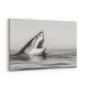 Great White Mouth