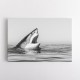 Great White Mouth