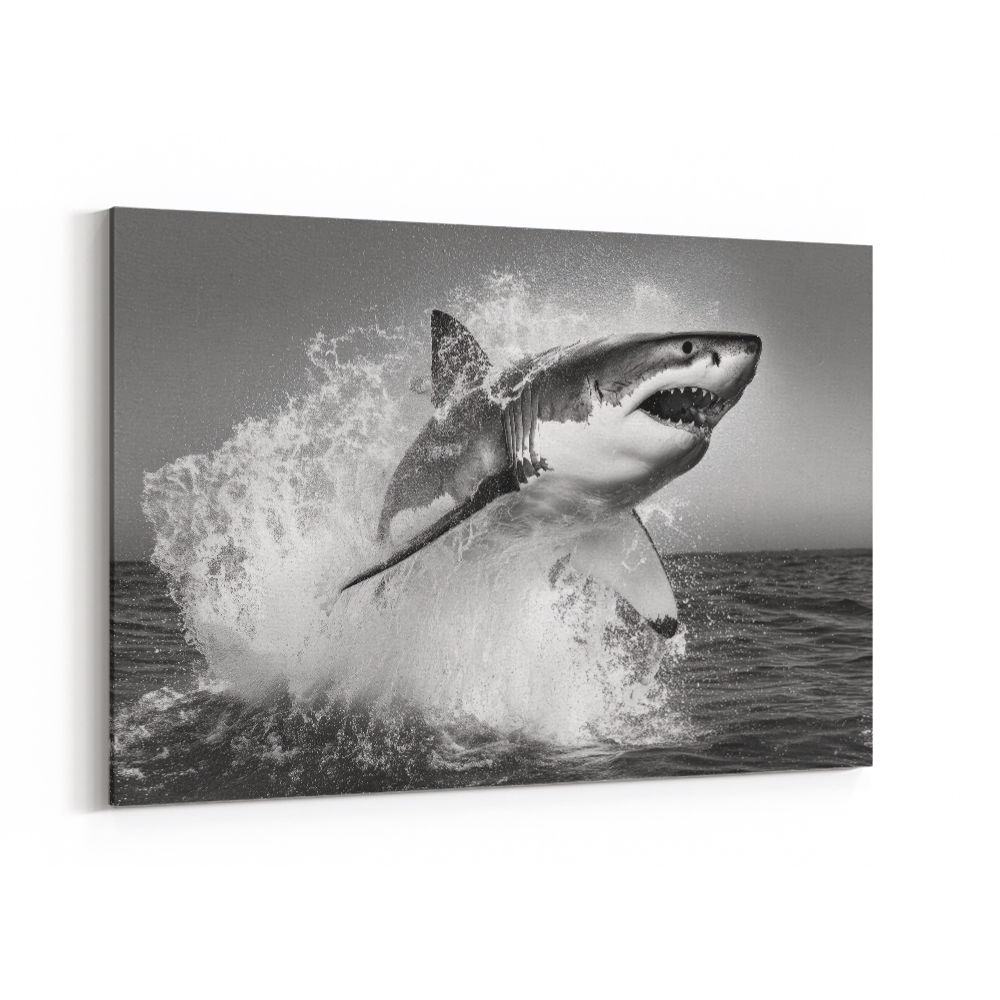 Shark Power