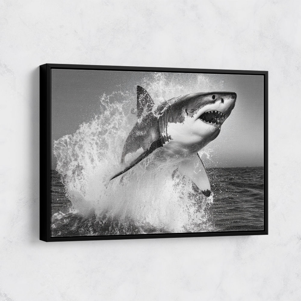 Shark Power