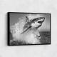 Shark Power