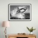 Shark Power